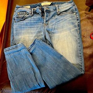 Torrid Girlfriend Jeans